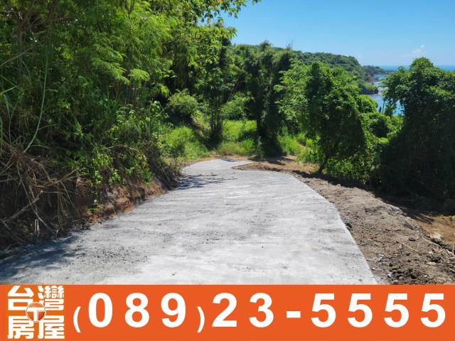 台東農地-6
