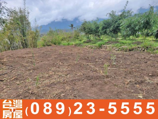 台東農地-8