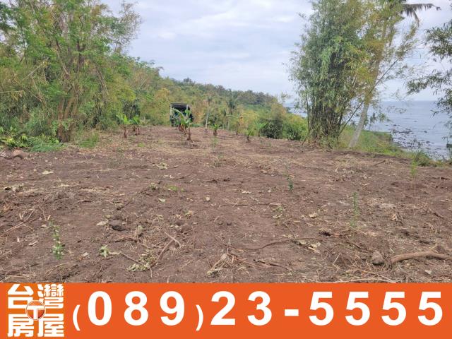 台東農地-9