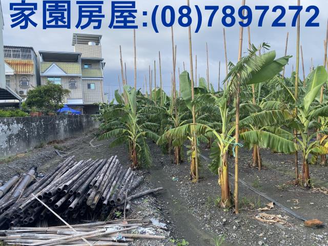 屏東潮州農地-2