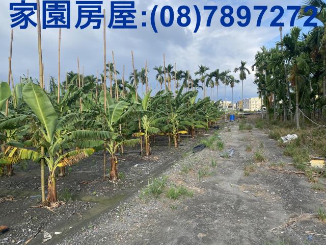 屏東潮州農地-3