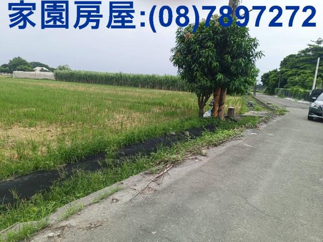 屏東萬丹農地-5