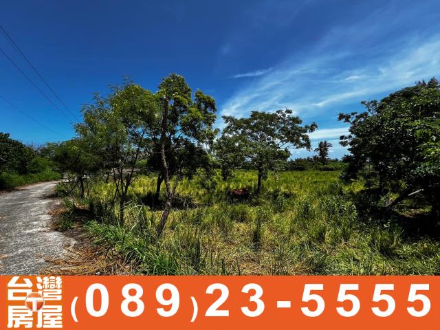 台東農地-13