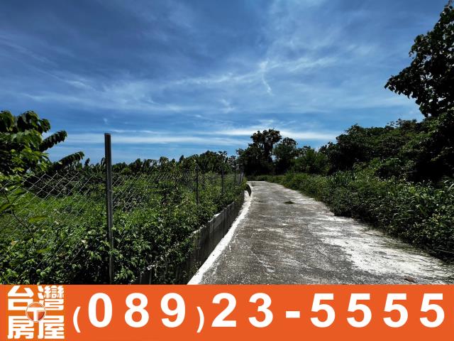 台東農地-15