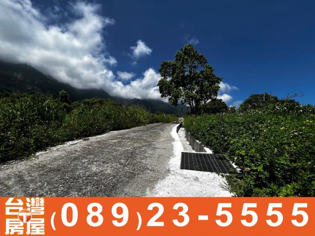 鑽石台東土地買賣