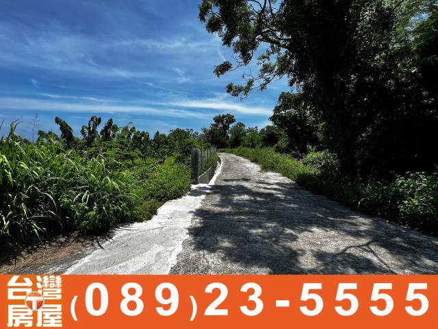 鑽石台東房地產買賣