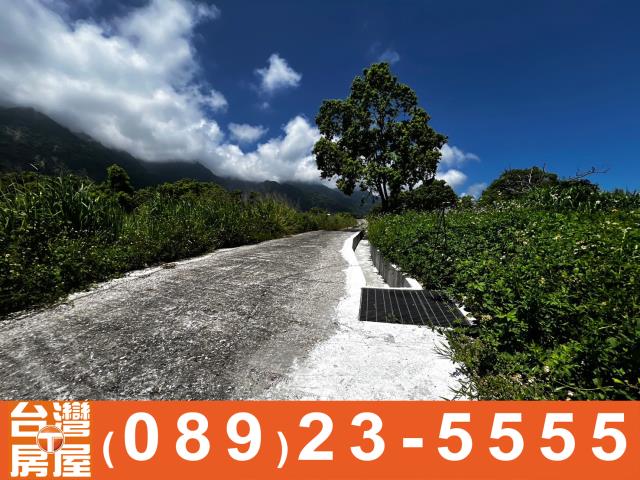 鑽石台東房地產買賣