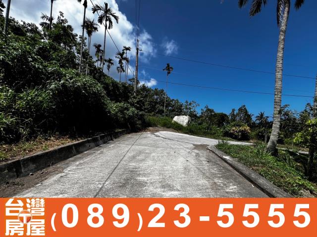 台東農地-11