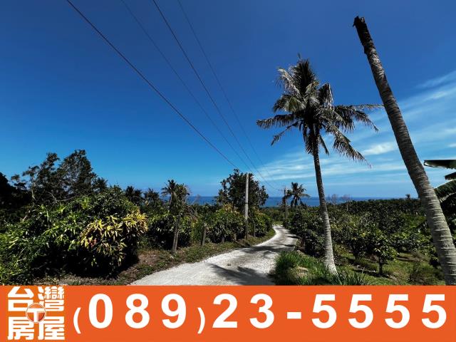 台東農地-12