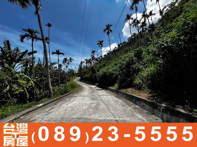 鑽石台東土地買賣