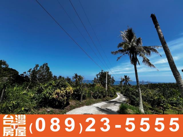 鑽石台東房屋買賣