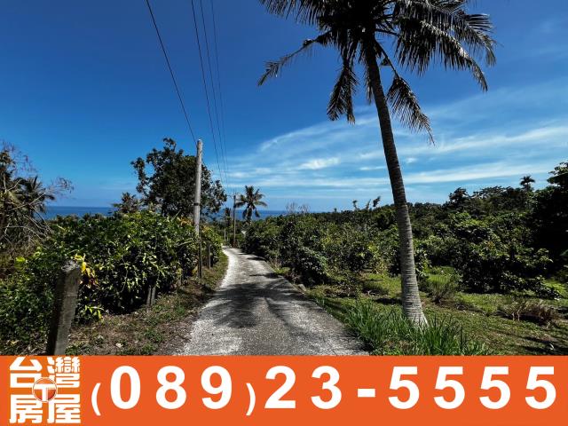 鑽石台東房地產買賣