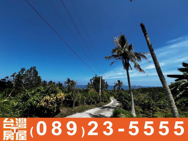 鑽石台東房地產買賣