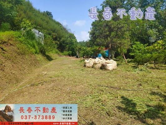 苗栗公館農地-1