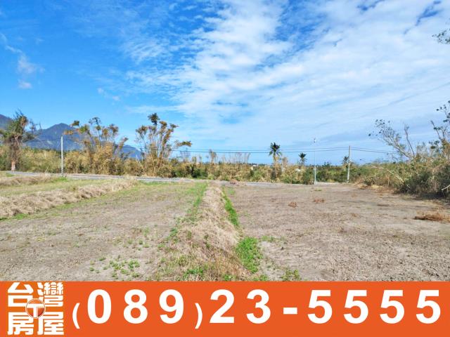 台東農地-14