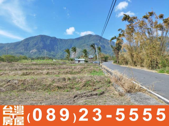 鑽石台東土地買賣