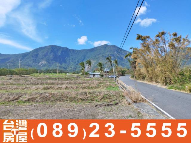 鑽石台東房屋買賣