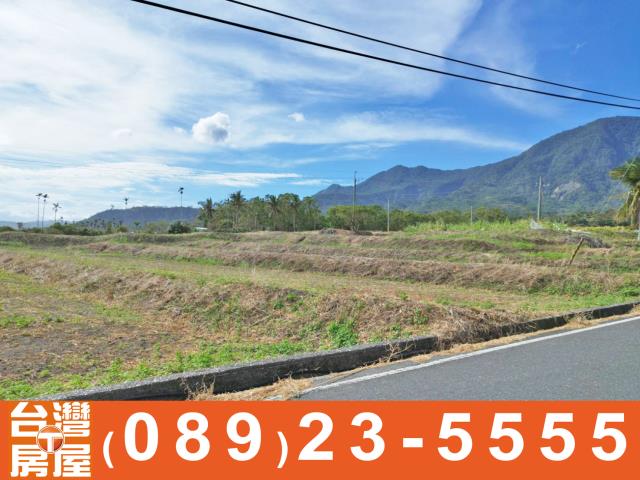 鑽石台東房地產買賣