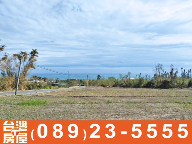 鑽石台東房地產買賣