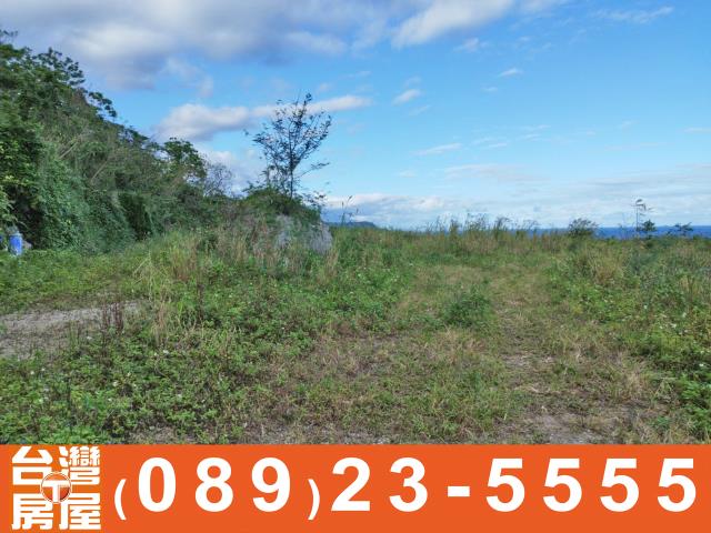 成功農地-11