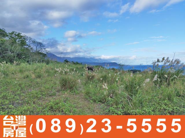 成功農地-14