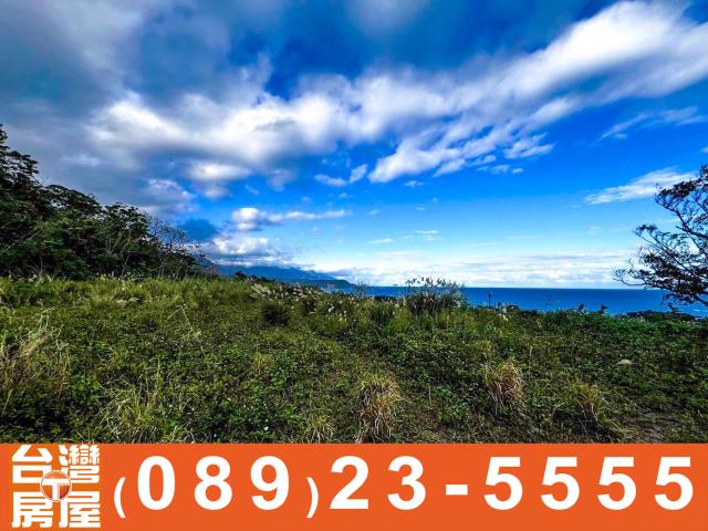 鑽石台東房屋買賣