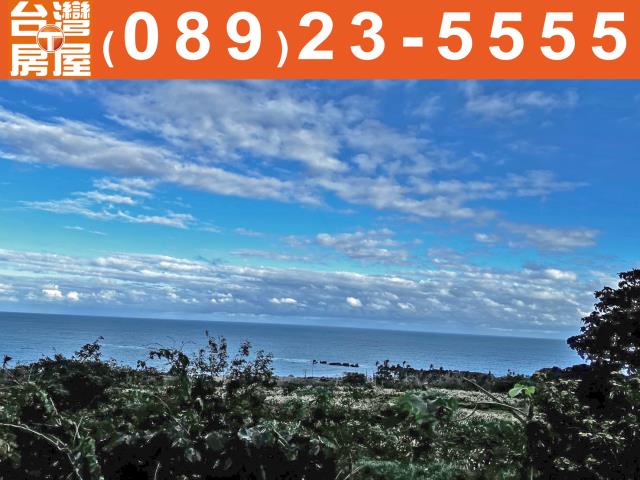 鑽石台東房地產買賣