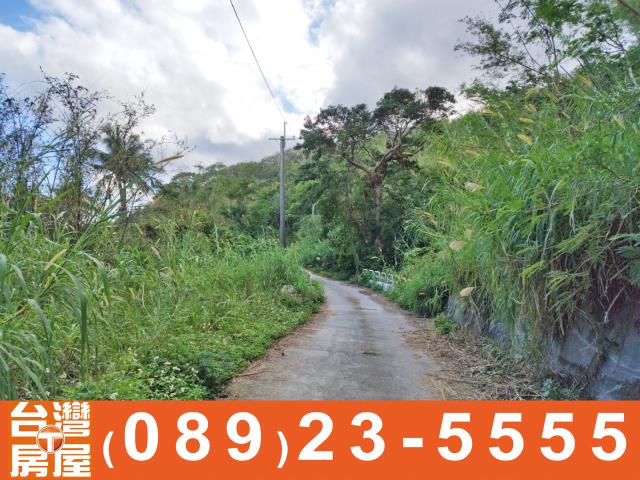 成功農地-8