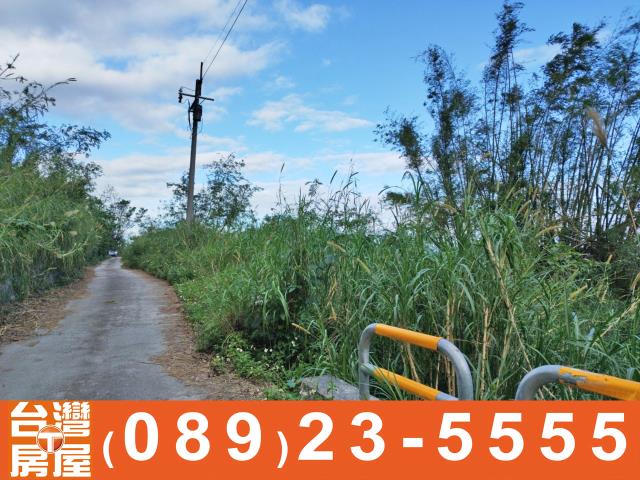 成功農地-9