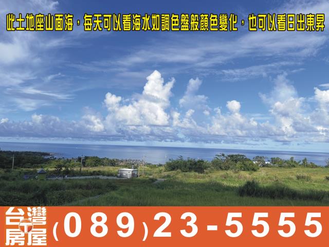 台東成功農地-8