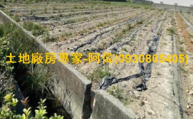 大寮農地-1