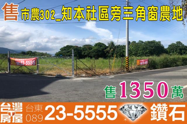 台東台東市農地-1