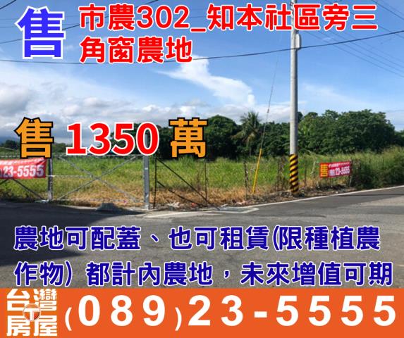 台東台東市農地-9