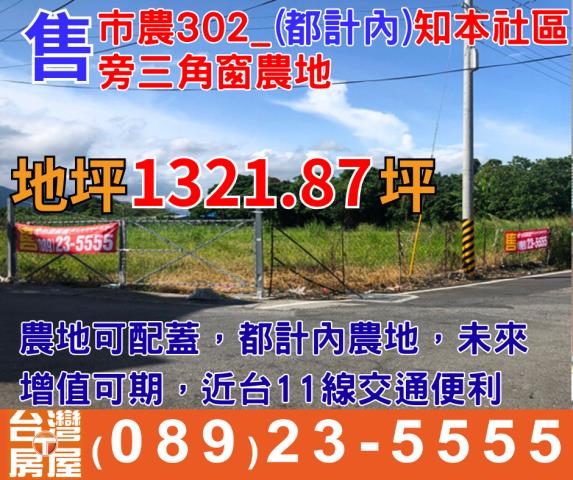 台東台東市農地-2