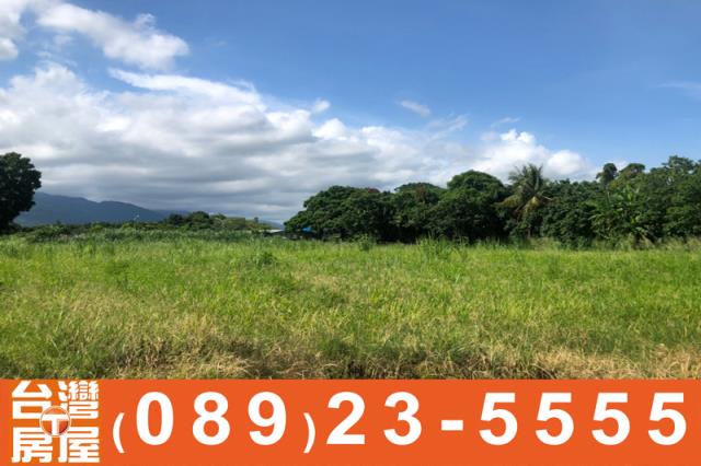 台東台東市農地-6