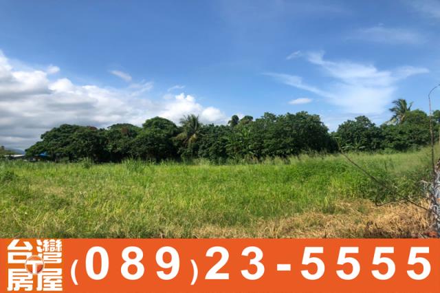 台東台東市農地-8