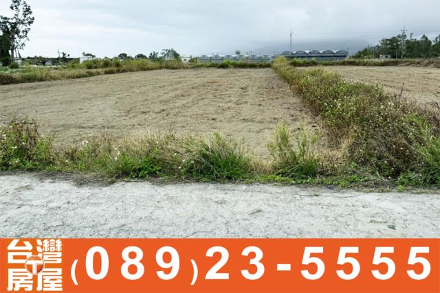 台東台東市農地-4