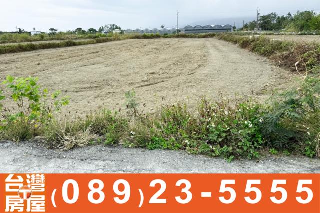 台東台東市農地-5