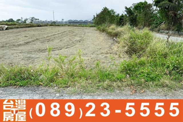 台東台東市農地-6