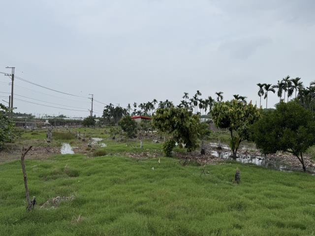 鹽埔農地-8