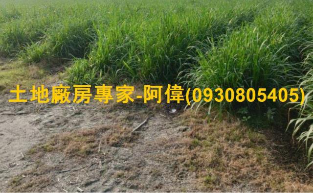 屏東市農地-1