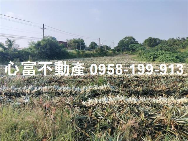 高雄農地-1