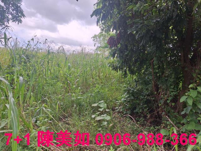 高雄燕巢農地-1