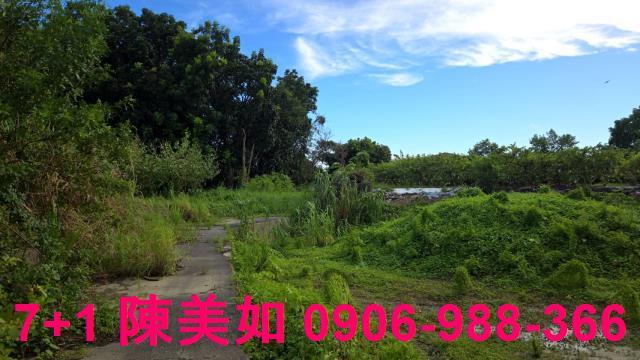 高雄燕巢農地-1