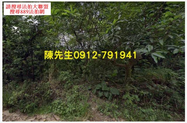 屏東三地門農地法拍-11