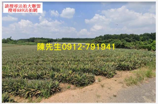屏東三地門法拍農地-14
