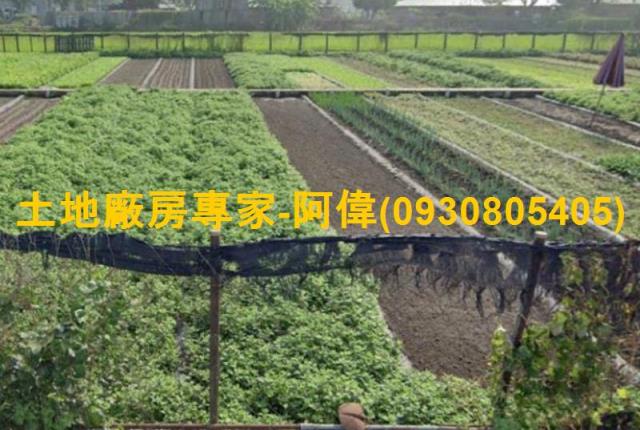 高雄大寮農地-1
