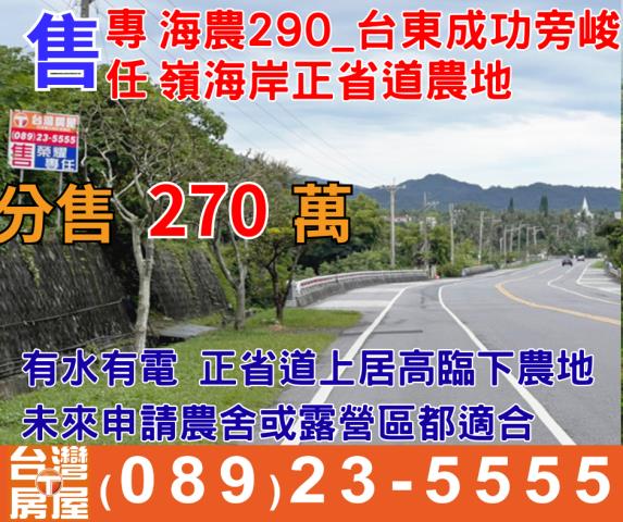 台東成功農地-1