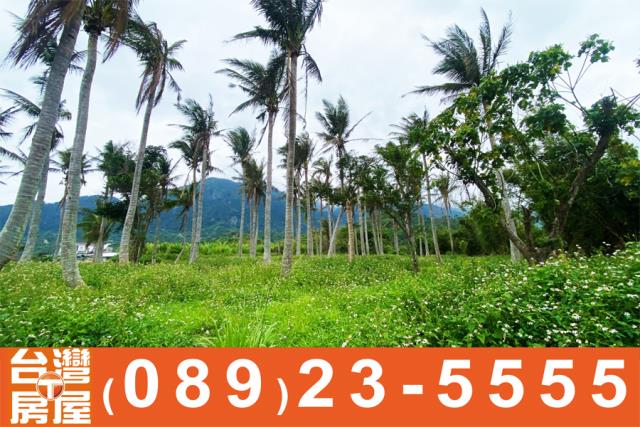 台東成功農地-2