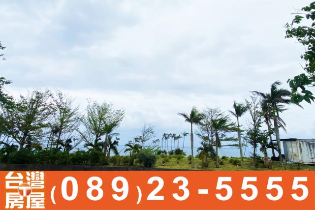 台東成功農地-3